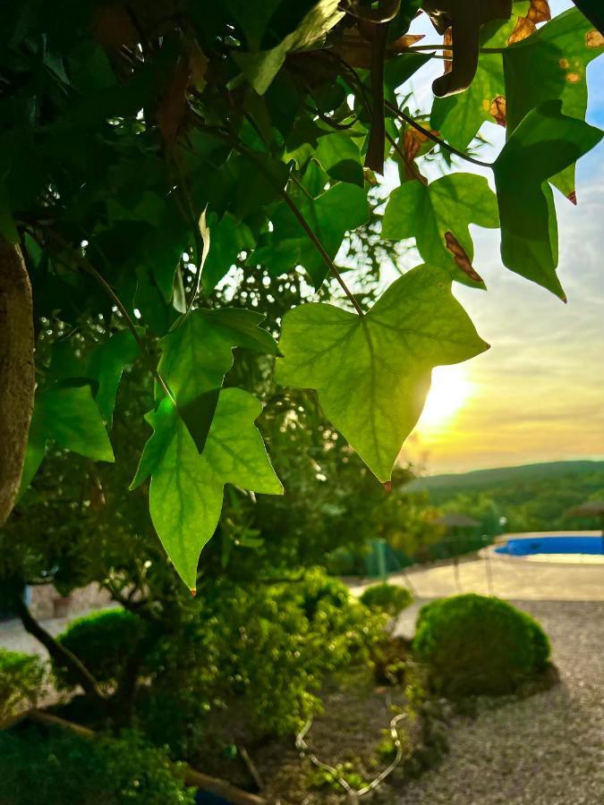 Complejo Rural Mirador De La Alcaidia Holiday home *