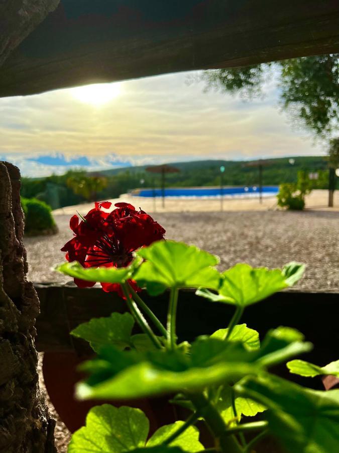 Complejo Rural Mirador De La Alcaidia Holiday home *
