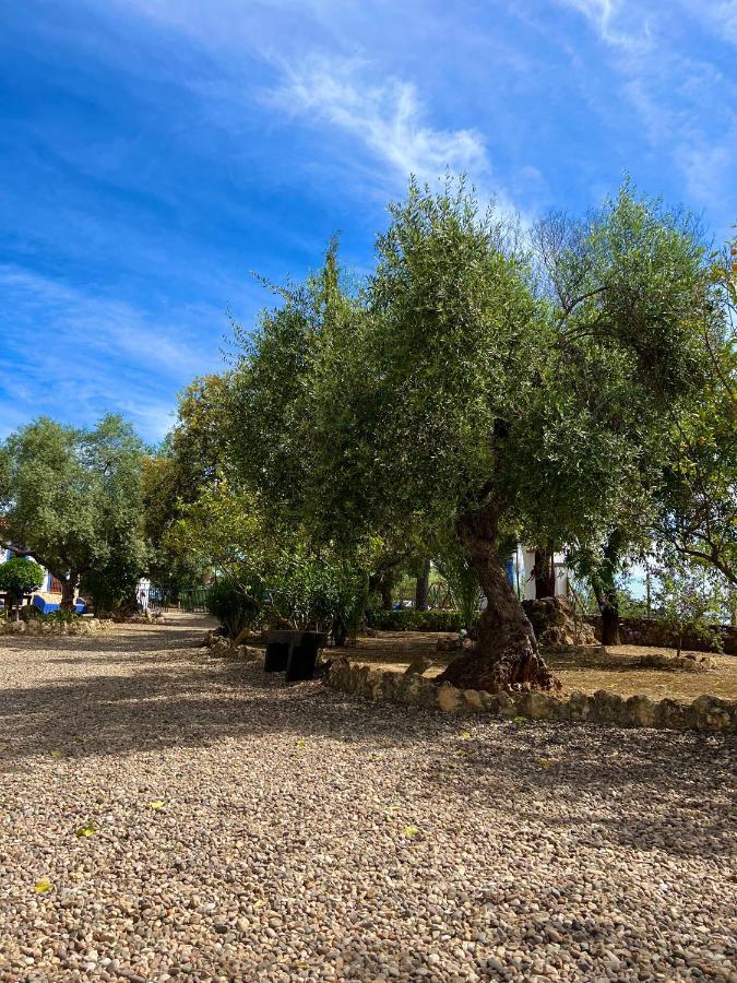 Complejo Rural Mirador De La Alcaidia Holiday home *
